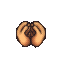 signals